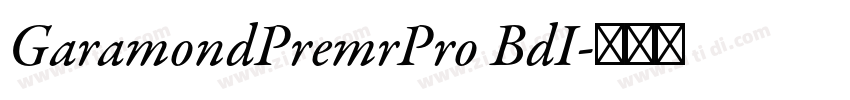 GaramondPremrPro BdI字体转换